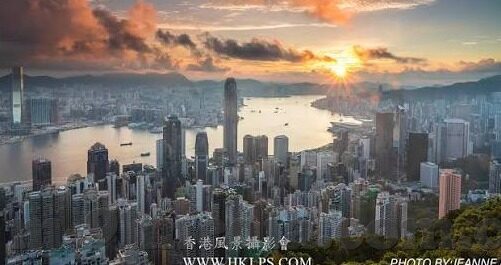 91麻豆成人免费视频-探秘成人内容的灰色地带，91麻豆成人免费视频的警示与反思