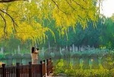 麻豆传媒百度-局部的阴影，麻豆传媒与百度平台的关系探究