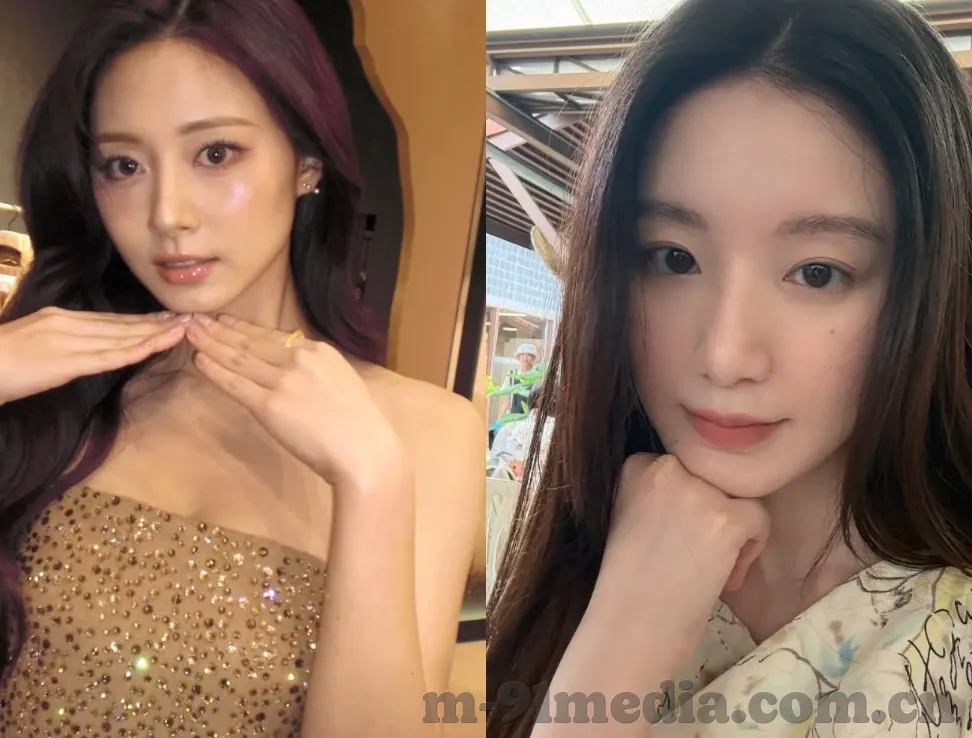 麻豆免费在线播放观看视频-麻豆视频的魅力与在线观看体验
