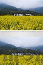 色即是空1中文字幕在线观看-探索色即是空1的独特魅力，一场关于青春与成长的视觉盛宴