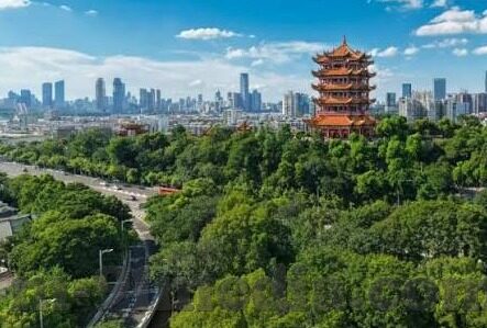 中文神马伦理电影-电影艺术的多元视角，中文伦理电影的深度探索